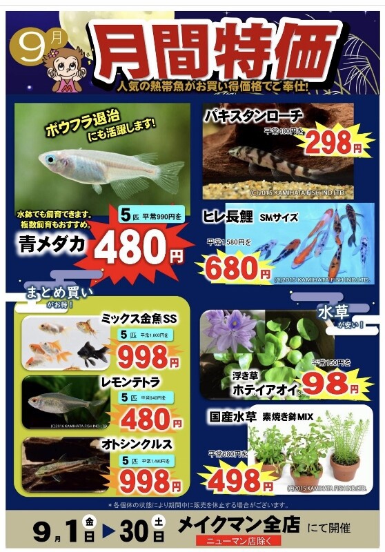 SONO水草パックの販売速報(2023.9/26～：メイクマン 浦添本店) : SONO