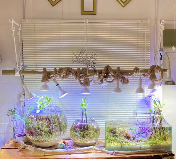 ユニーク な形状のガラス製 花瓶 花器 金魚鉢 メダカ鉢 です。 ユニーク な形状のガラス製 花瓶 花器 金魚鉢 メダカ鉢 です