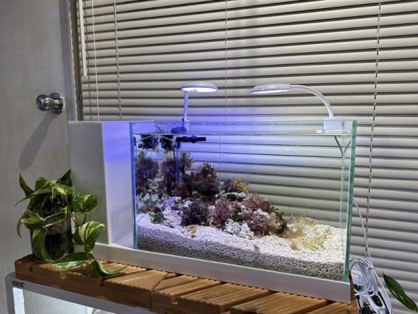 値段交渉可　美品　ＡＱＵＡ－Ｕ ＷＩＤＥ(アクアユーワイド)ブラック　GEX GEX AQUA-U WIDE アクアユー ワイド ブラック Ga AQUA-U Black