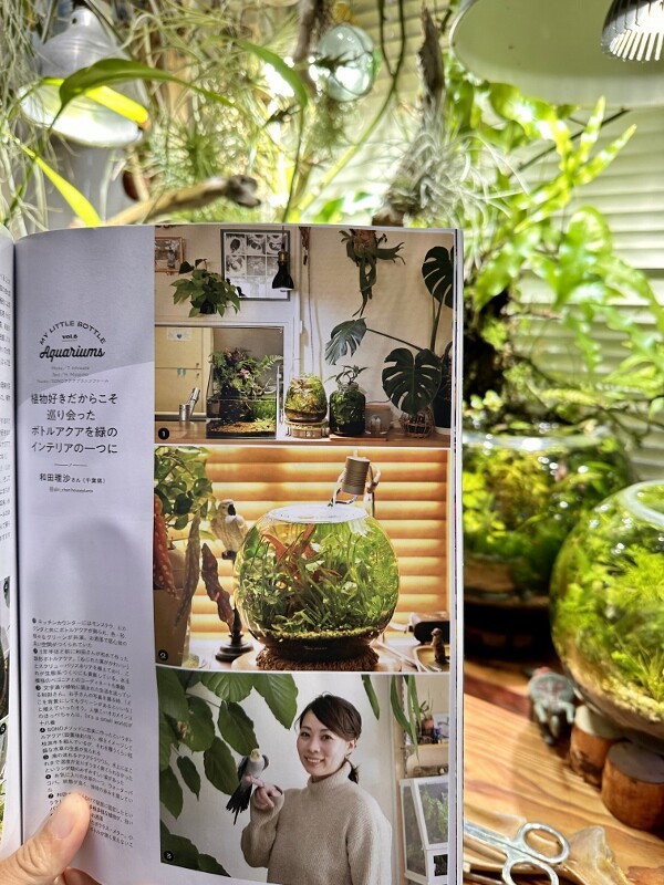 アクアライフ2月号（No.559）発売 : SONOアクアプランツファーム水草