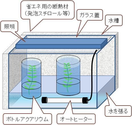 ボトルアクアリウムの冬の水温管理方法 Sonoアクアプランツファーム水草情報局