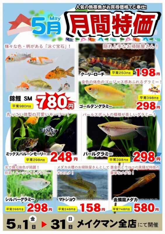 SONO水草パック販売速報(2026.5/8～ メイクマン豊見城店 様) : SONO