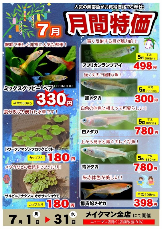 SONO水草パック販売速報(2024.7/12～:メイクマン豊見城店) : SONO