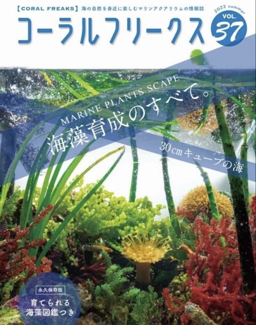 書店では売らない雑誌？！ : SONOアクアプランツファーム水草