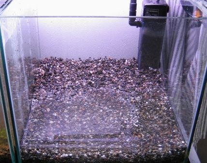 制作例 大磯砂底床のベーシックな水草レイアウト 30cm水槽 Sonoアクアプランツファーム水草情報局