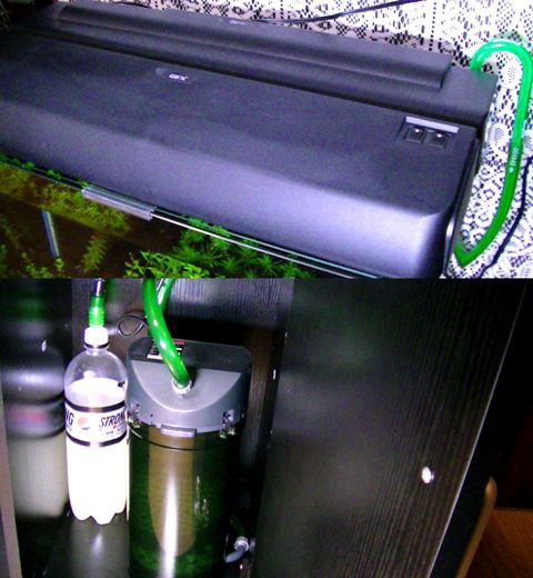 お客様の水槽紹介 T様 神奈川県 Sonoアクアプランツファーム水草情報局