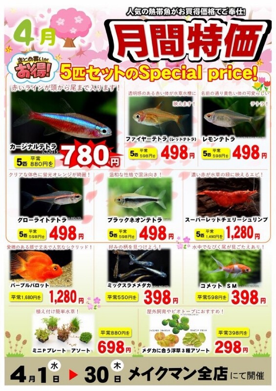SONO水草パック販売速報(2026.4/9～:メイクマン豊見城店 様) : SONO
