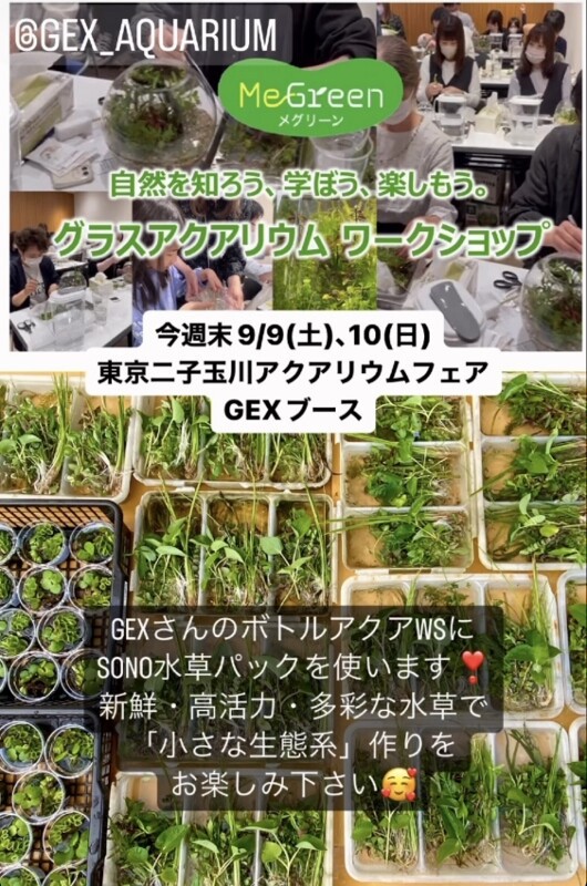 SONO水草パック内容！(2023.9/9-10：GEX-ボトルアクアWS in 東京