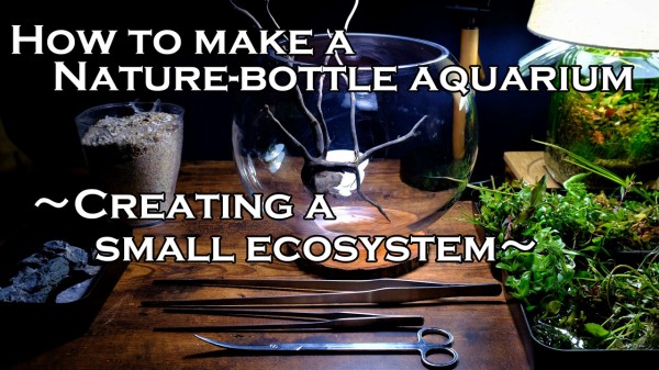 水草パック販売速報(2020.7/14～:メイクマン具志川店) : SONOアクア