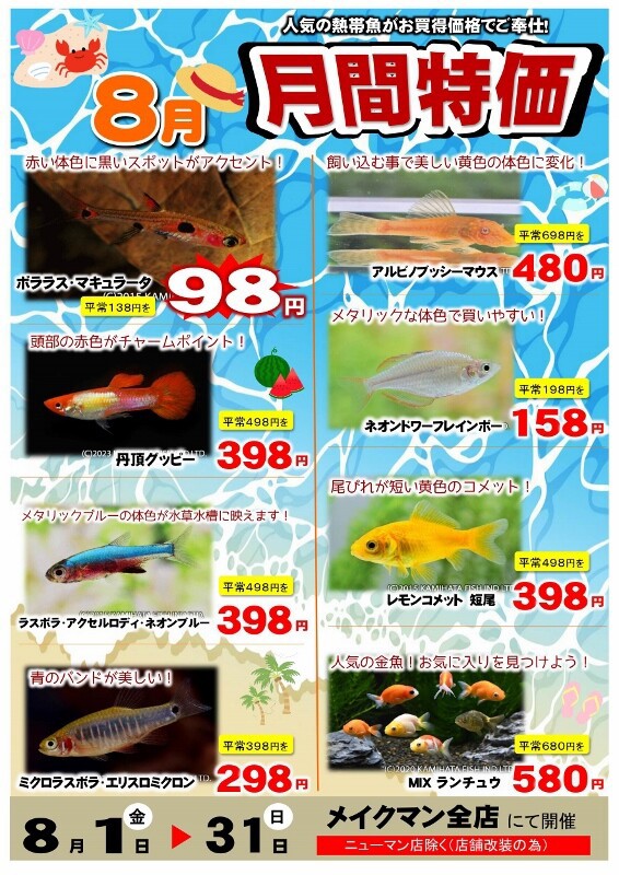 SONO水草パック販売速報(2025.8/1～:メイクマン豊見城店) : SONOアクア