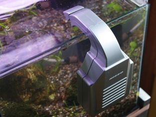 夏場の水温管理 水温を下げるには Sonoアクアプランツファーム水草情報局