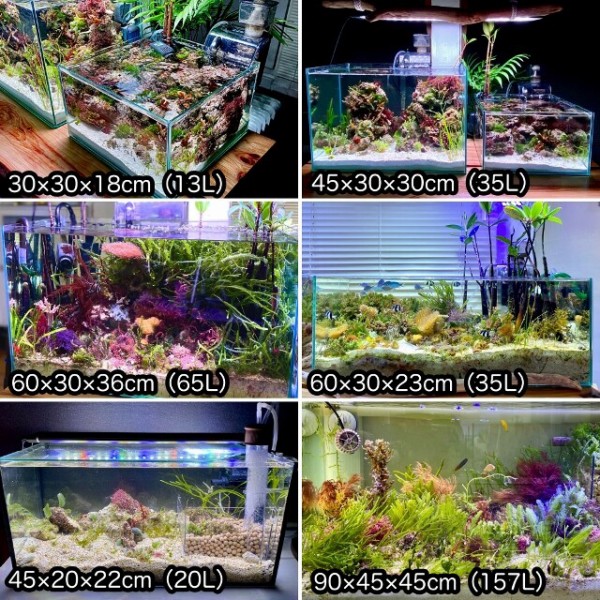 海藻レイアウト水槽の作り方 Sono Method Marine Sonoアクアプランツファーム水草情報局 海藻レイアウト水槽の作り方 Sono Method Marine Sonoアクアプランツファーム水草情報局