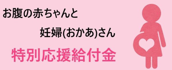 お腹の赤ちゃんと妊婦 おかあ さん特別応援給付金 の支給します そのだ裕史のオモシロキ コトモナキ世ヲ オモシロク