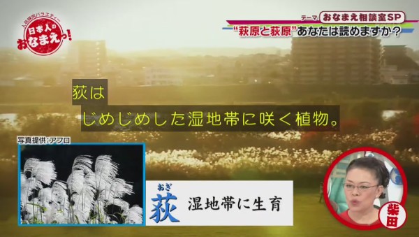 萩原 と 荻原 を区別する方法と 便利な呼び方ｗｗｗｗｗｗｗｗ 131res 分 その日盛り上がったch