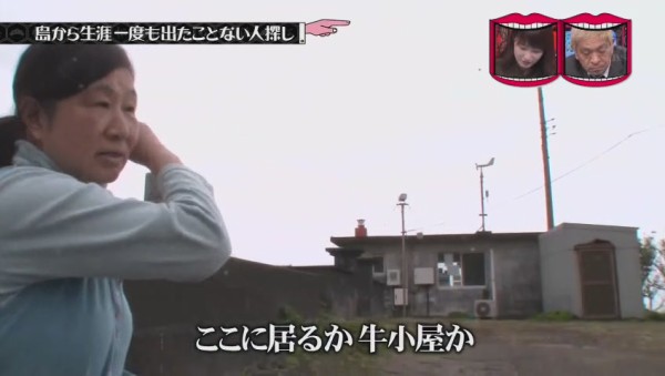 衝撃 あの 青ヶ島 に島から1度も出た事がない仙人がいた 水曜日のダウンタウンが調査 569res 分 その日盛り上がったch