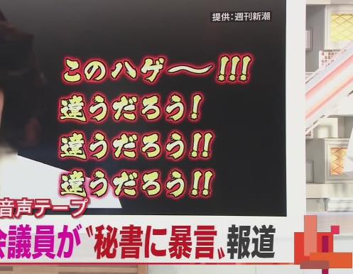 このハゲー 豊田真由子議員 音声 動画 258res 分 その日盛り上がったch
