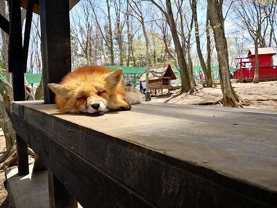 コペン下道の旅 福島沿岸部縦断 復興の現状について ひいろぐ