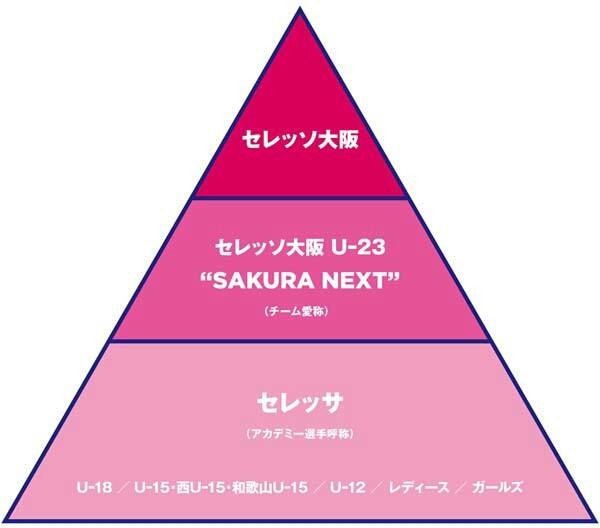 セレッソ大阪16年シーズン新体制発表 センタリング ふわりと宙 そら に跳んだ