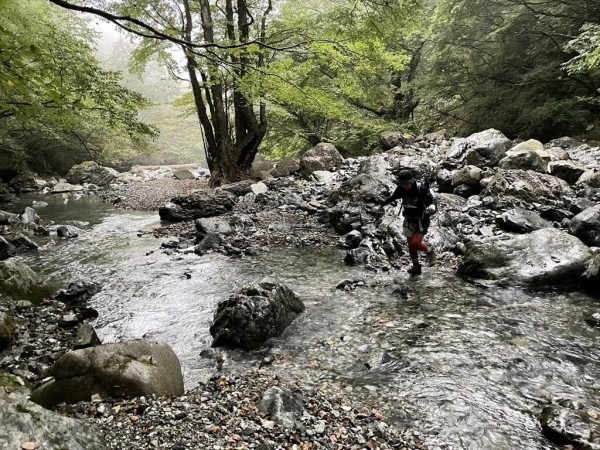 第297回 弥山 弥山川双門ルート～金引尾根 熊渡周回 : 山ガール