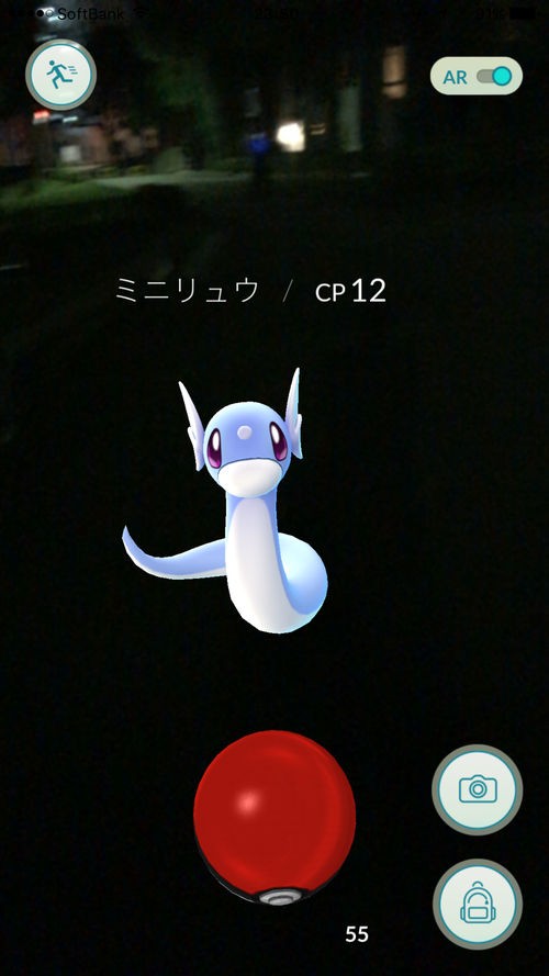 ポケモンgo ミニリュウの巣がある世田谷公園深夜でも多くのポケモントレーナーが集まり大盛況 ポケモンｇｏ日和 攻略まとめ図鑑