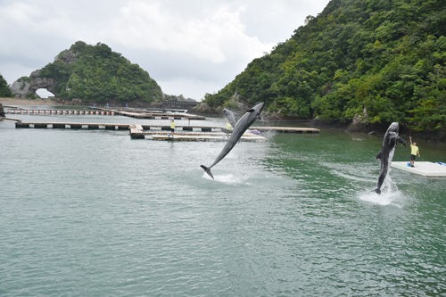 最強パワスポ白蛇弁天に出会う 聖地への旅 那智勝浦 太地町くじらの博物館 編 人生は自分を癒す旅