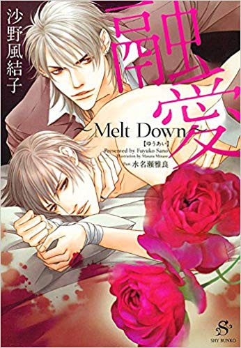 融愛 Melt Down 沙野風結子 ネグレクトの末のガチ兄弟bl小説感想 好きすぎる Blの萌えを吐くブログ Blのおすすめをご紹介