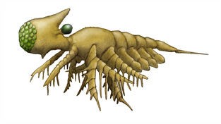 画像 古代生物のフォルムワロタwwww きままと