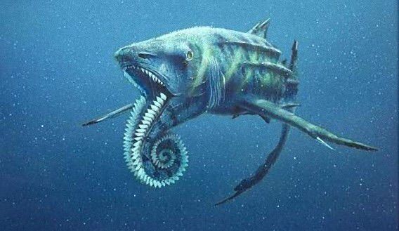 画像 古代生物のフォルムワロタwwww きままと