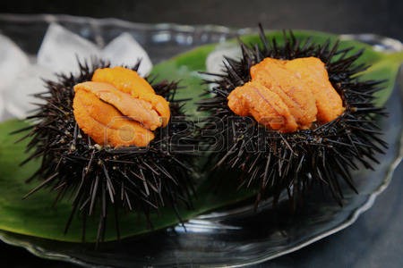ワイ ウニまずい 馬鹿 高いやつ食ったことないだろ これ きままと