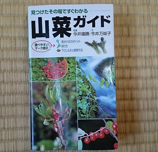 食べられる野草の覚え方 Youtuberソータローのブログ