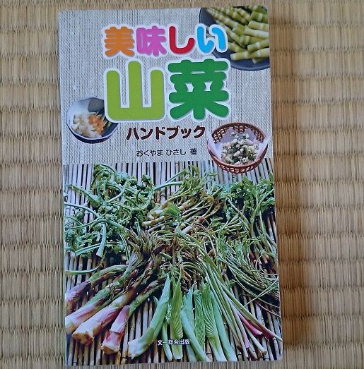 食べられる野草の覚え方 Youtuberソータローのブログ