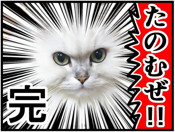 描き下ろし）僕がネットで漫画を描き始めた理由 : 曽山一寿のそや