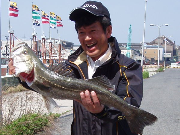 尼崎港のハネは簡単に釣れる 尼崎港のハネを釣りまくる技