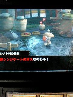 Mh4 094 結論 今回の卵クエは非常に面白い 村６ 秘密の卵運搬 最後の難問 道楽でやってます