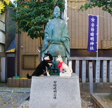 パワースポット 安倍晴明神社 黒柴犬 スピカの日記