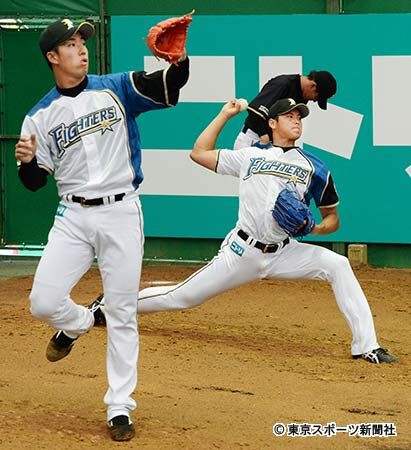 正直斎藤佑樹って大谷翔平を越える素質あったよな スポーツまにあちゃんねる