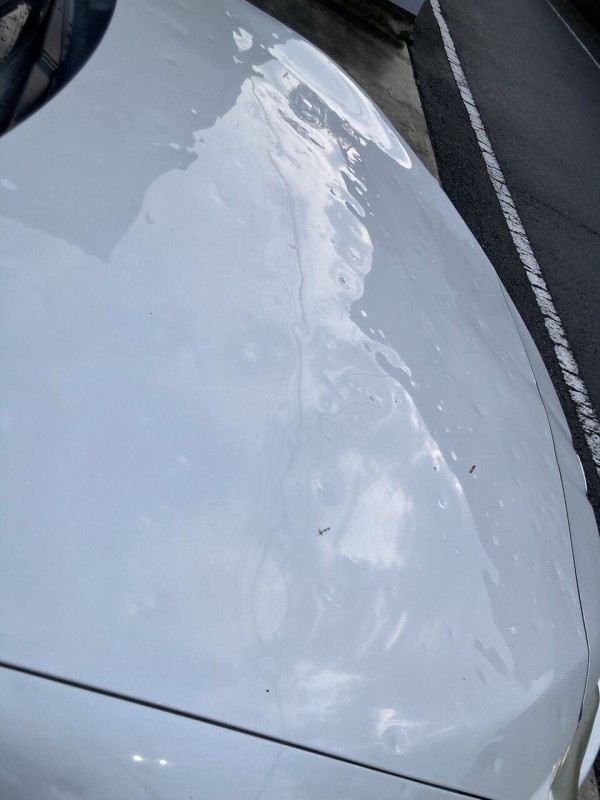 ひょう スポーツあれこれｎｅｗｓ