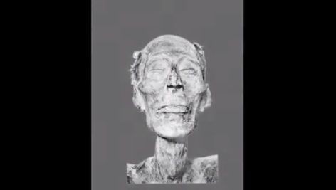 ミイラを元に再現されたラムセス2世の複顔イメージ Sptツアーズのブログ ミイラを元に再現されたラムセス2世の複顔イメージ Sptツアーズのブログ