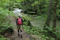 青森 岩手 車中泊の旅３ 奥入瀬渓谷と平泉 女登山ノート