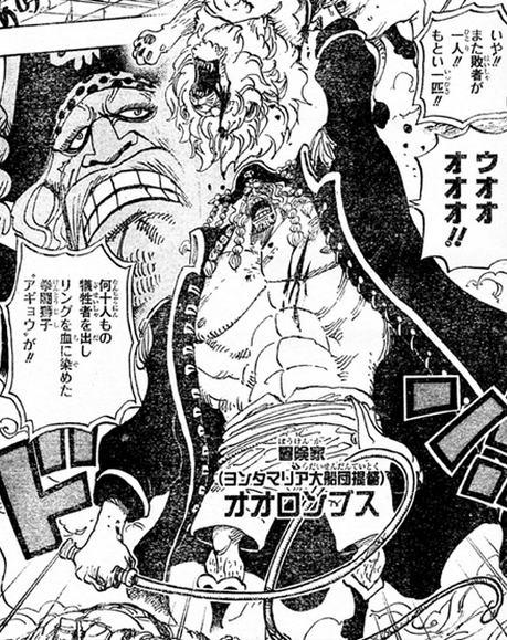 実は大物でビビッタ ヨンタマリア大船団提督4300名を率いる開拓冒険家オオロンブス Onepieceまとめチョッパー紳士