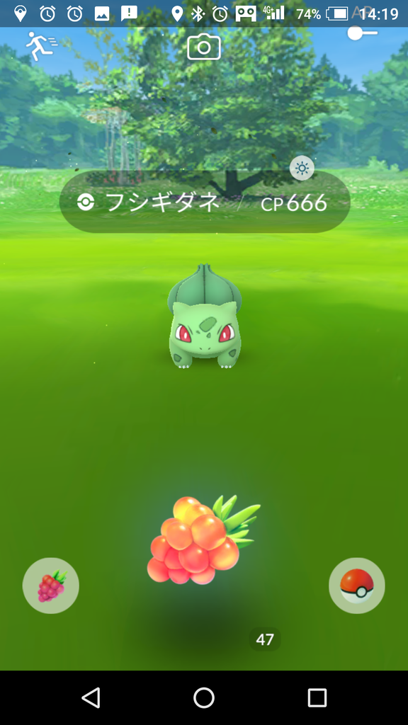 3 25 日 第3回コミュニティデイで 色違いフシギダネ 4匹get ハードプラント フシギバナには色違い含め3体進化 道産子トレーナーの ポケモンgo 奮闘記 3 25 日 第3回コミュニティデイで 色違いフシギダネ 4匹get ハードプラント フシギバナには色違い含め3体進化 道産子トレーナーの ポケモンgo 奮闘記