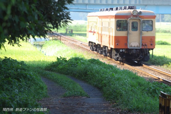 ひたちなか海浜鉄道 中根 3 夏の日差し 関西発 鉄道ファンの写真館 撮影地ガイド