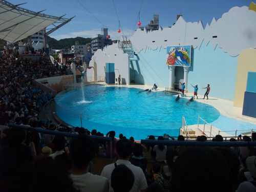 Suma Dolphin Live CD 須磨海浜水族園　サントラ　廃盤 神戸市立須磨海浜水族園 | DiGJAPAN!