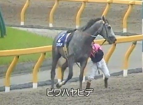 ビワハヤヒデって本当に良い馬だったよな お馬memory