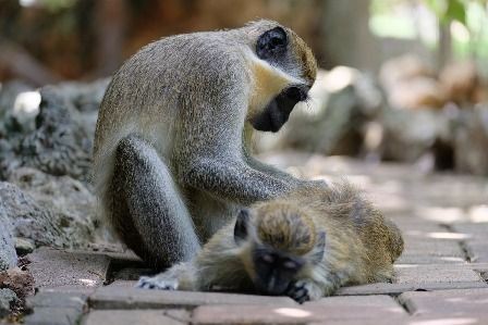 どうでもいいことを気にしなければ 望みの結果を生み出せる 思うほど深刻な問題なんてほとんどないから 迷わず前に進み出そう 小川健次ブログ