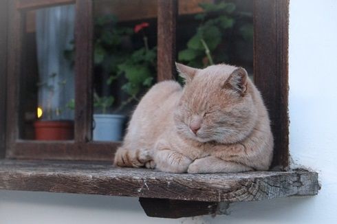 最初はうまくいかなくて当たり前 失敗しても気にすることはない