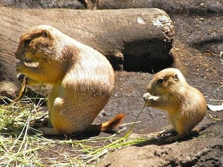 愛されていることに気づくと 心が穏やかになる 愛されていることに気づかないから ストレスでイライラする 小川健次ブログ 愛されていることに気づくと 心が穏やかになる 愛されていることに気づかないから ストレスでイライラする 小川健次ブログ