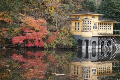 間に合った鎌北湖の紅葉 なないろpallet