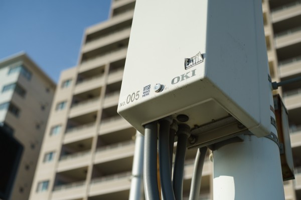 レンズ探求 #42 Xenon 50mm F2（戦後型） 野外比較 : ZEISSレンズとか