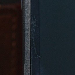 iiの液晶コーティング剥がれ Zeissレンズとかなんとか